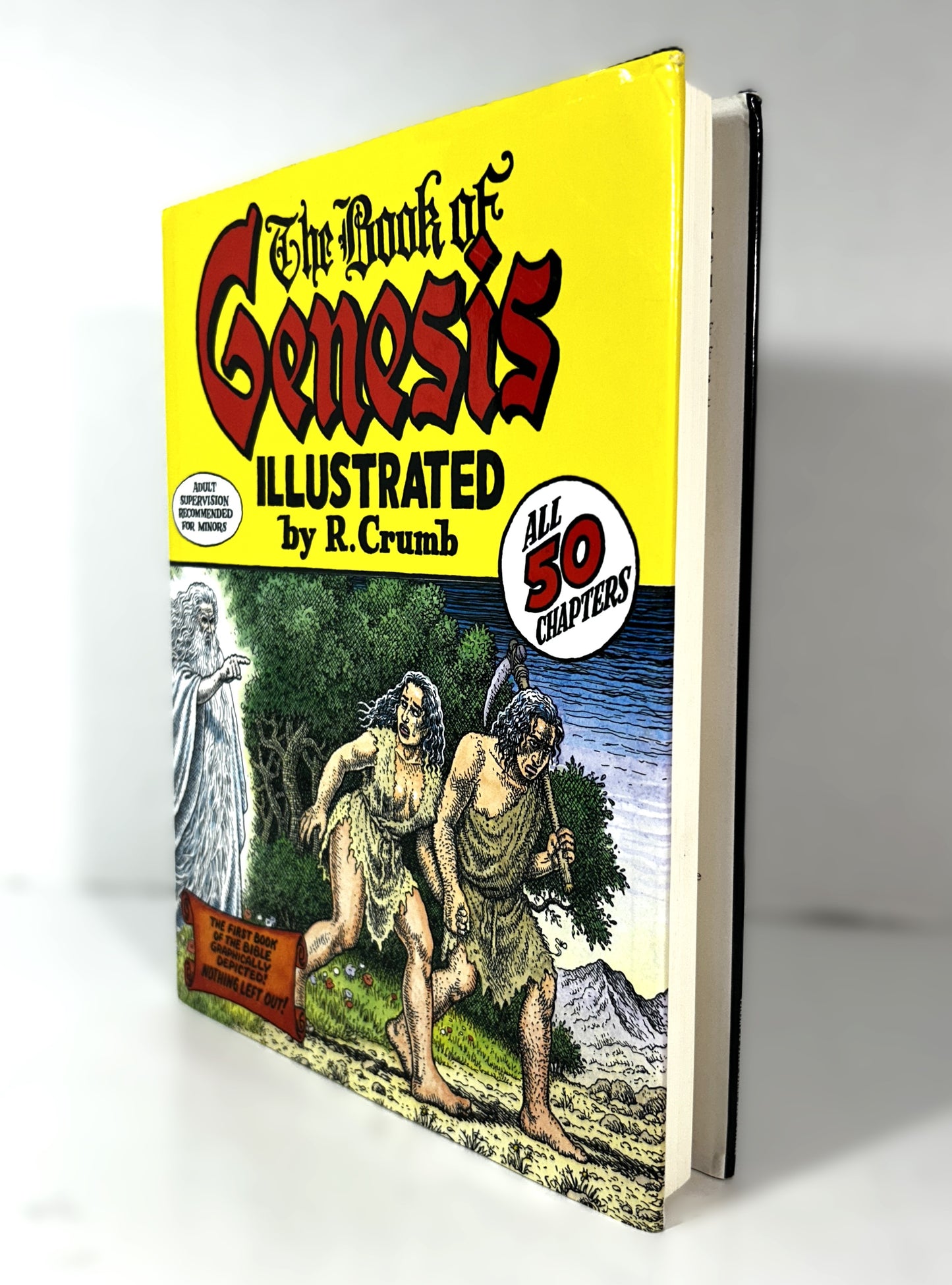 The Book of Genesis Illustrated by R. Crumb 2009