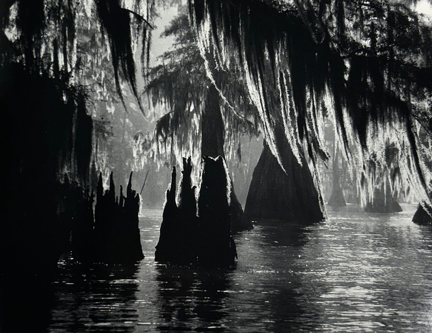 Cajun Families of the Atchafalaya : Their Ways & Words by Greg Guirard 1989 SIGNED 1st Edition