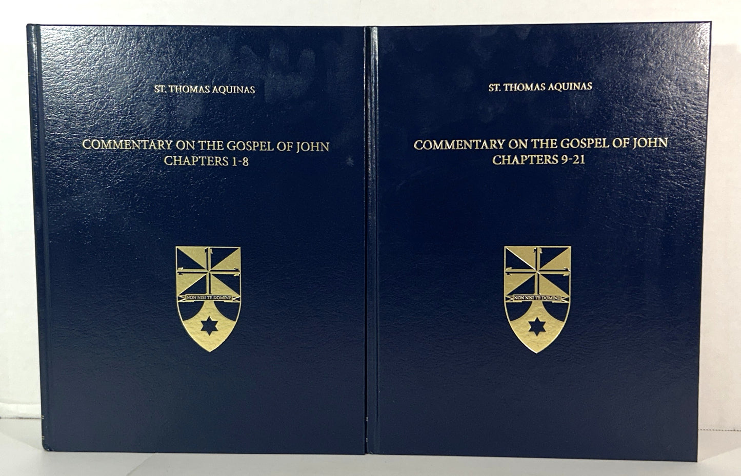 Set of 2 Commentary on the Gospel of John by Jeremy Holmes 2013 Hardcovers