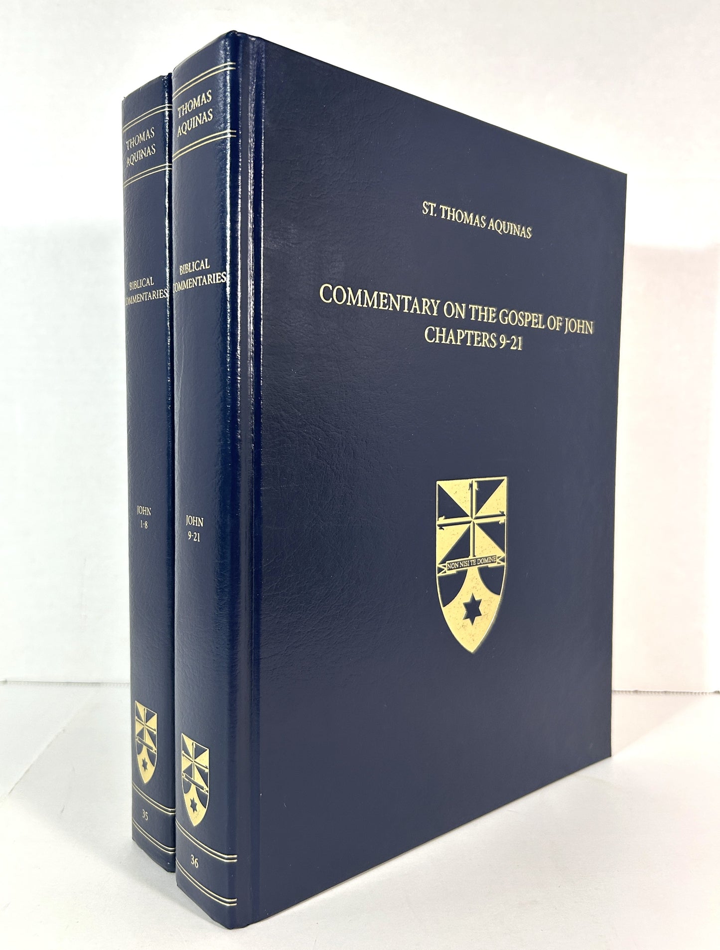 Set of 2 Commentary on the Gospel of John by Jeremy Holmes 2013 Hardcovers