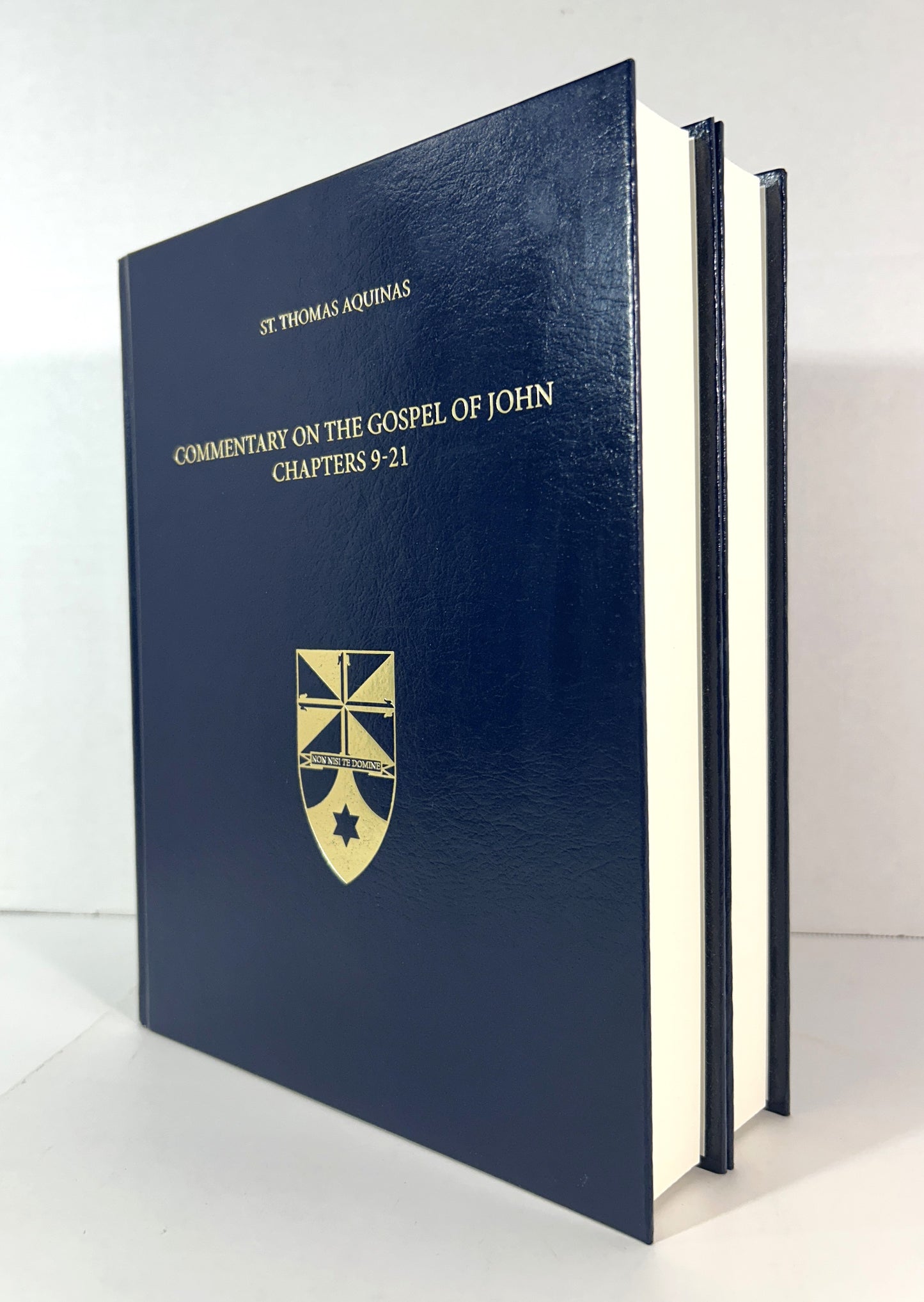 Set of 2 Commentary on the Gospel of John by Jeremy Holmes 2013 Hardcovers