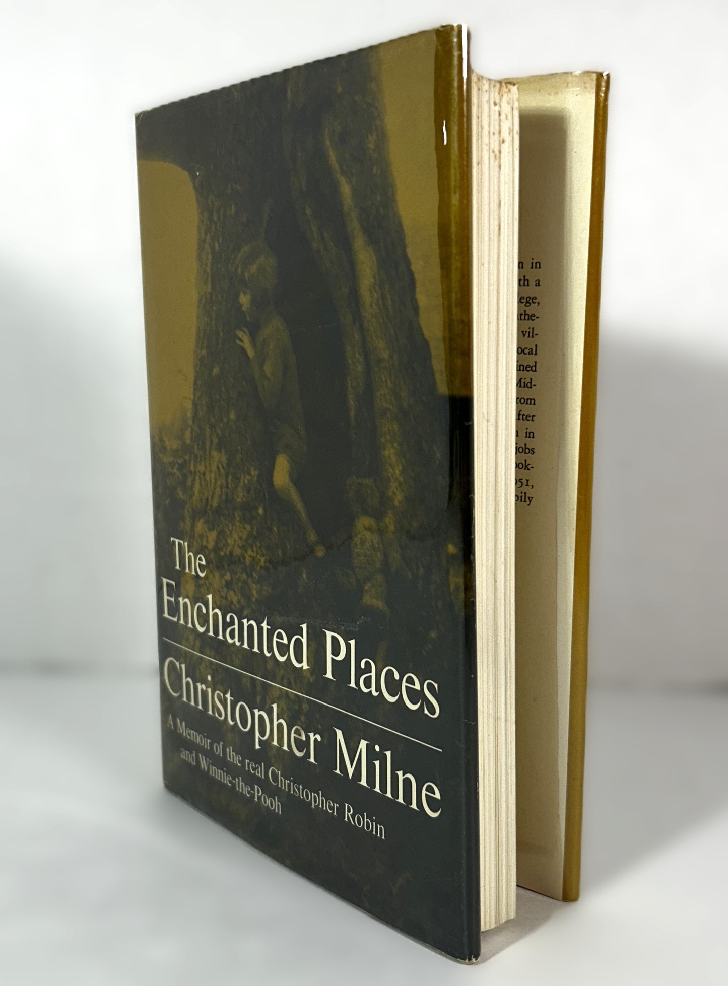 The Enchanted Places by Christopher Milne 1975 1st US Edition