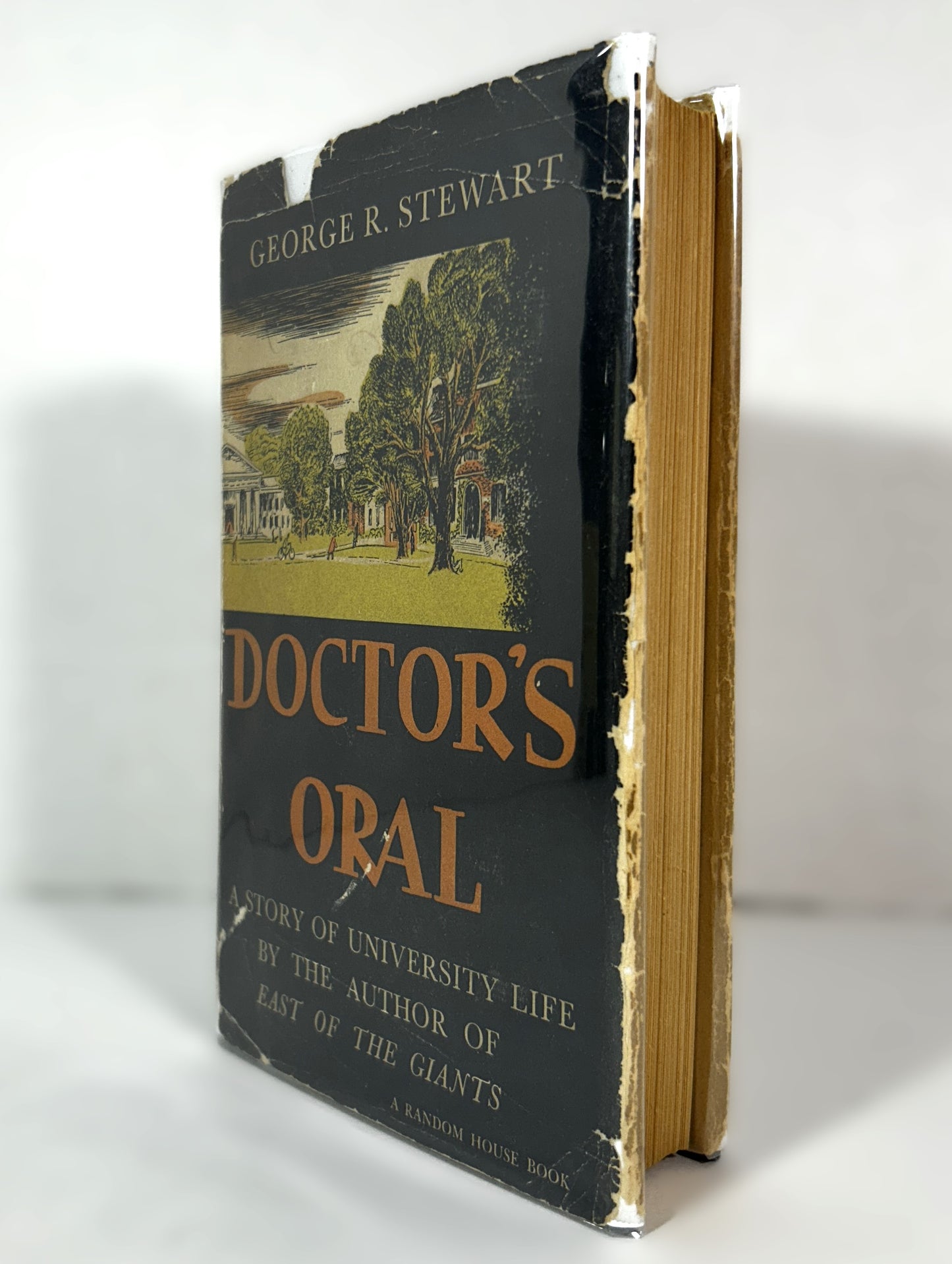 Doctor's Oral