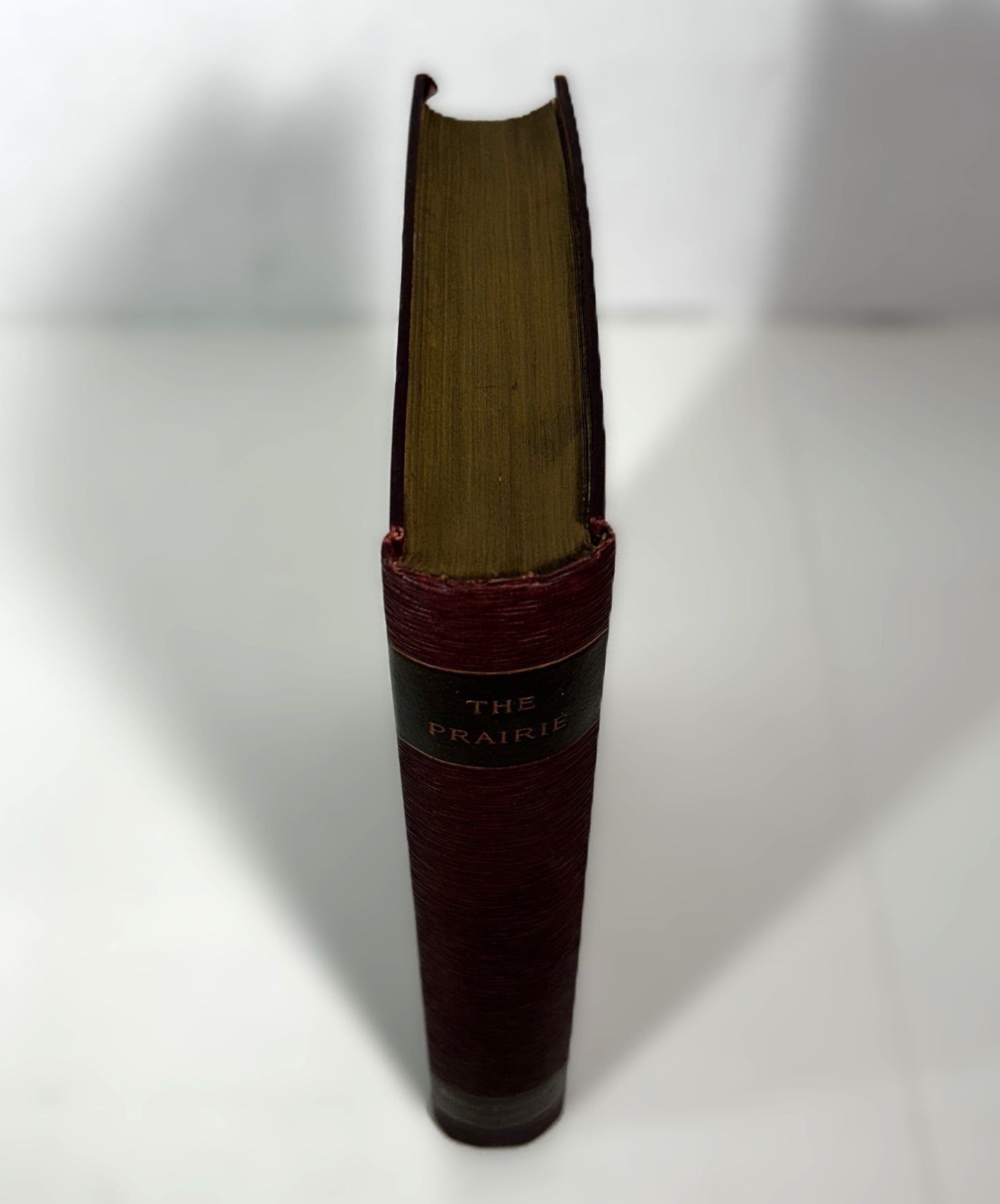 The Prairie by James Fenimore Cooper circa 1895 Ltd Ed #60/1000