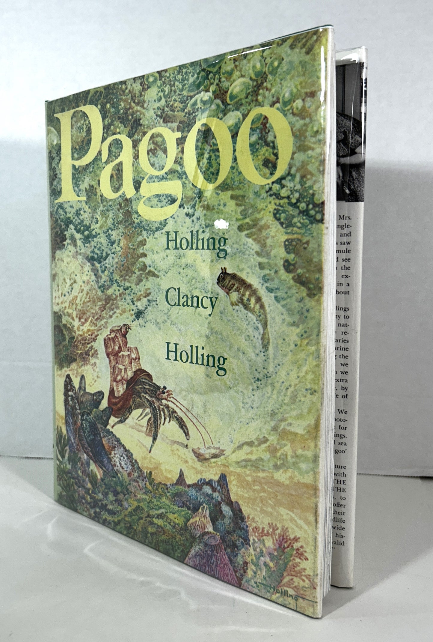 Pagoo by Holling Clancy Holling 1976 Reprint