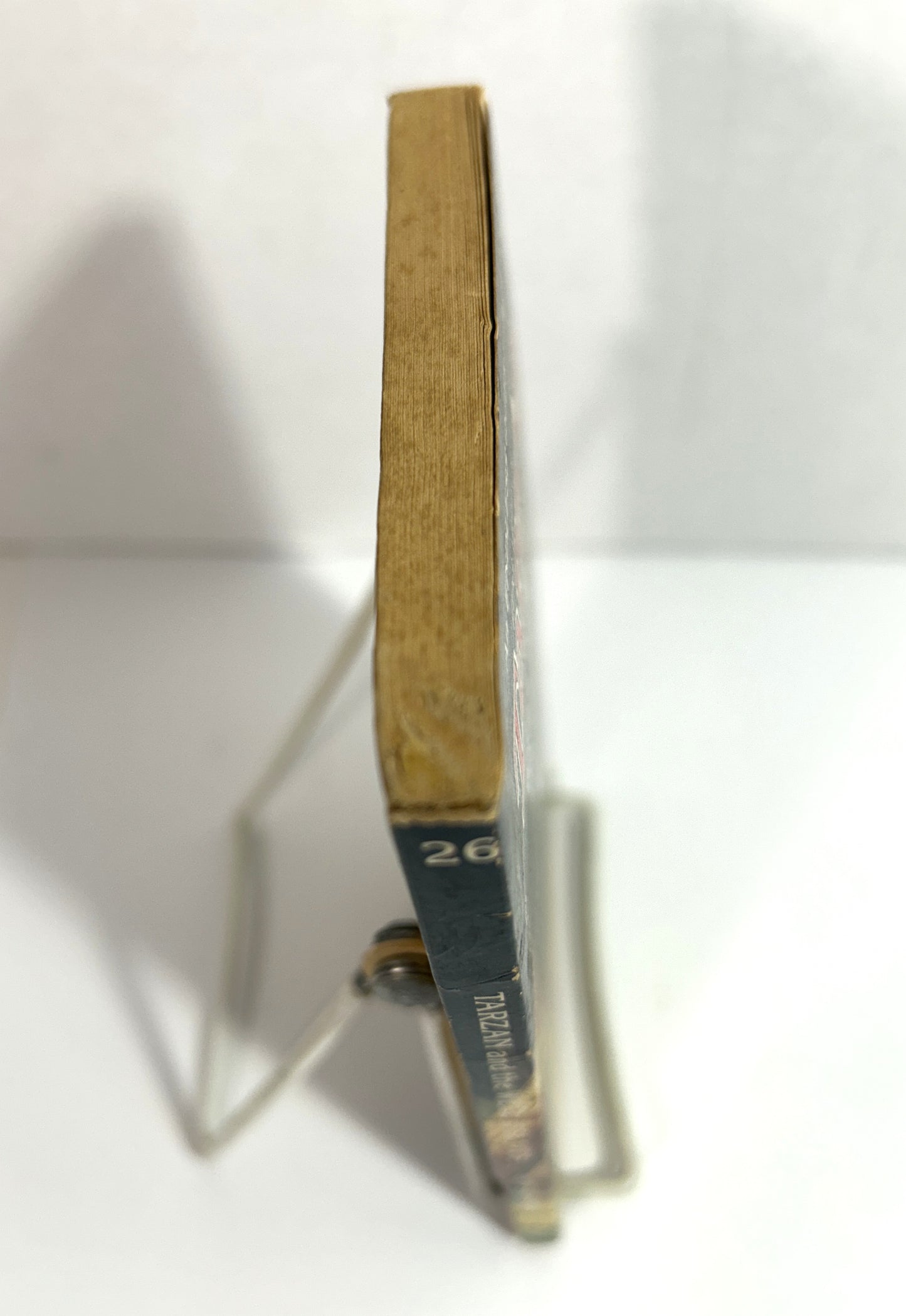 Tarzan and the Well of Slaves (Endless Quest Book #26) by Douglas Niles 1985 1st Printing