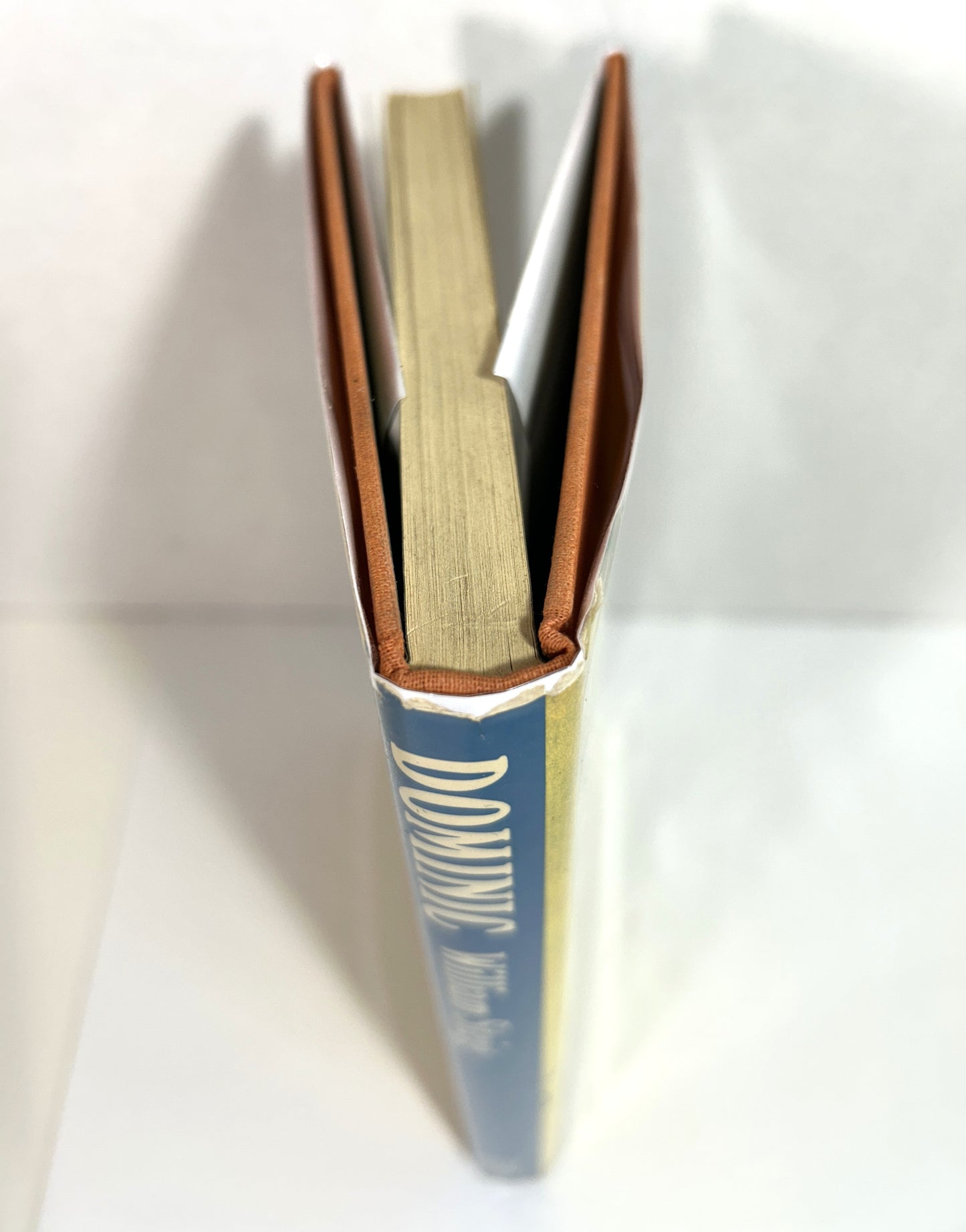 Dominic by William Steig 1972 1st Edition