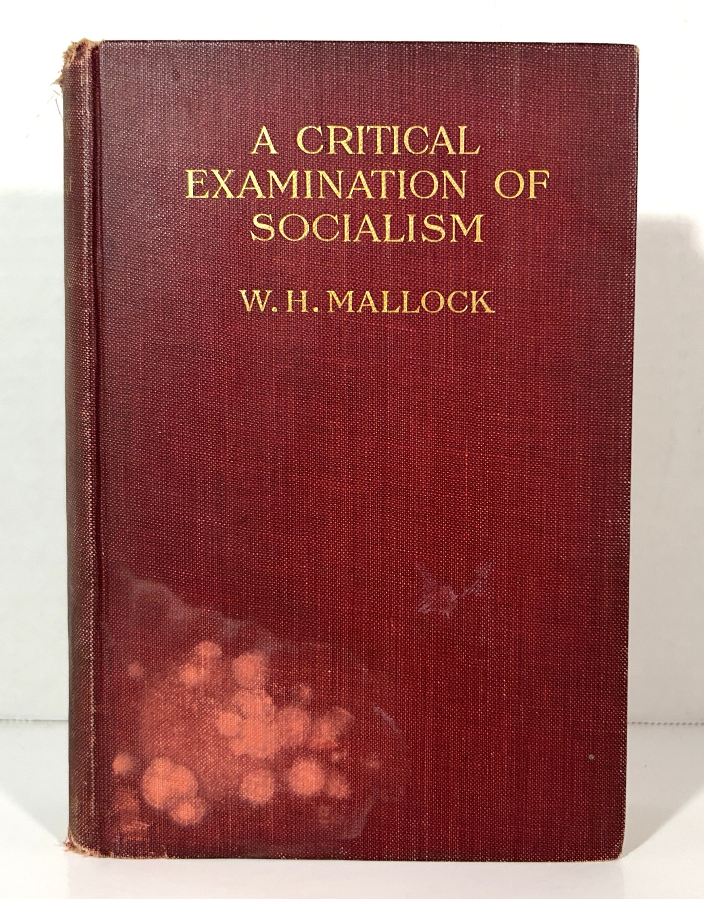 A Critical Examination of Socialism by WH Mallock 1908
