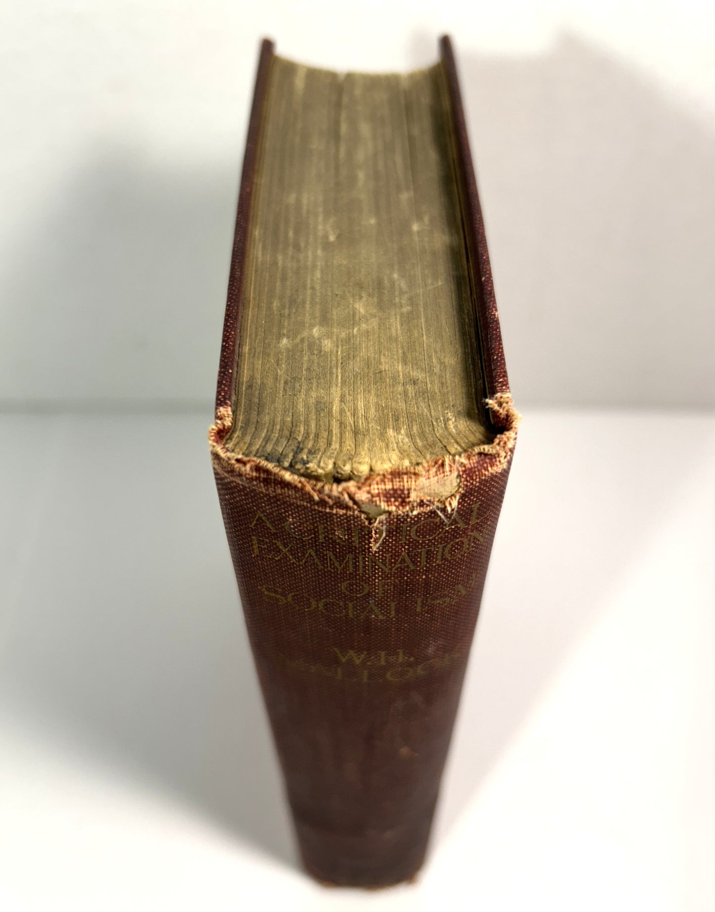 A Critical Examination of Socialism by WH Mallock 1908