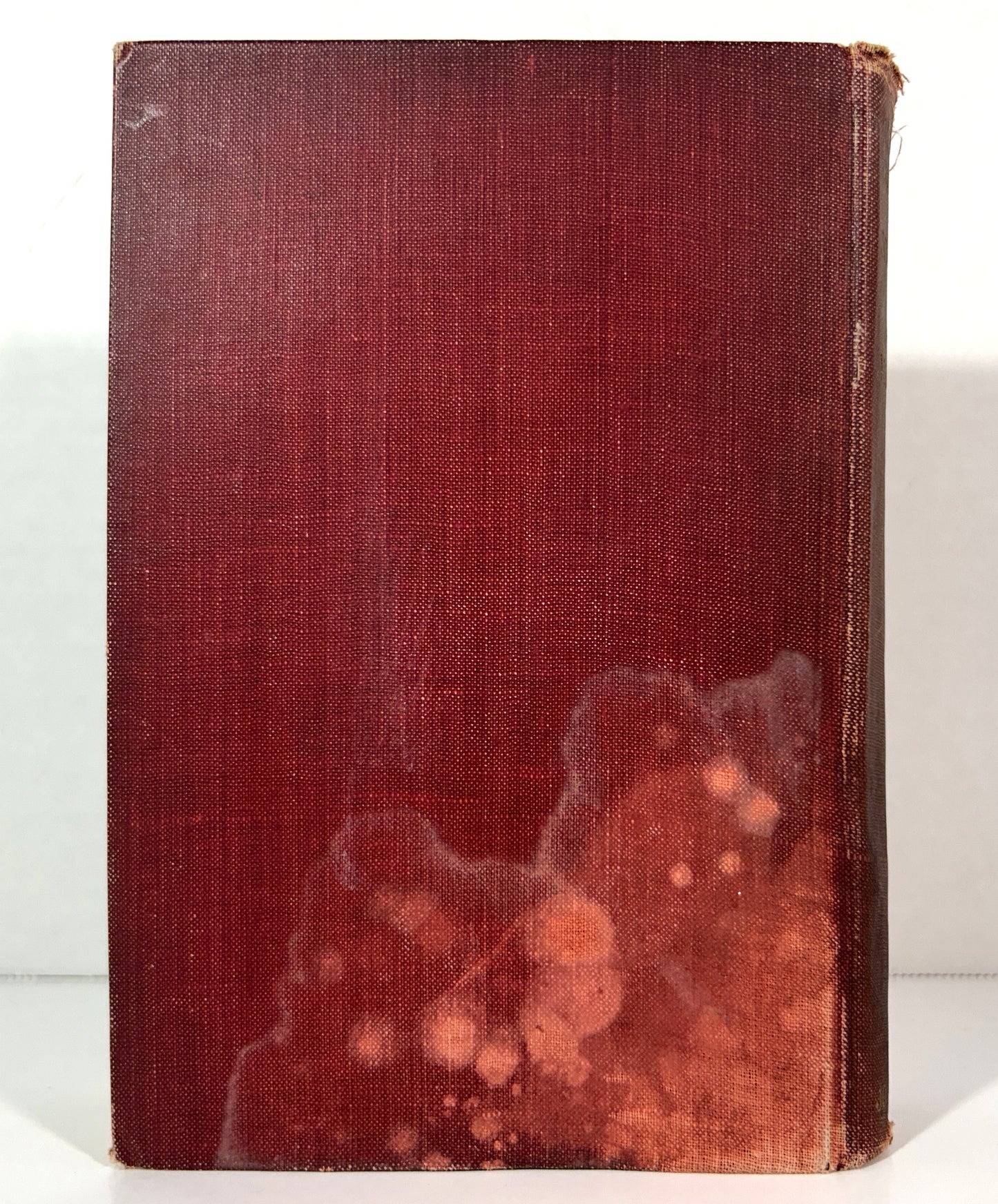 A Critical Examination of Socialism by WH Mallock 1908