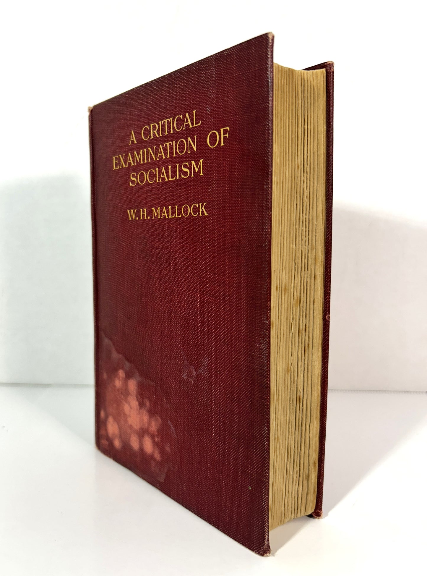 A Critical Examination of Socialism by WH Mallock 1908