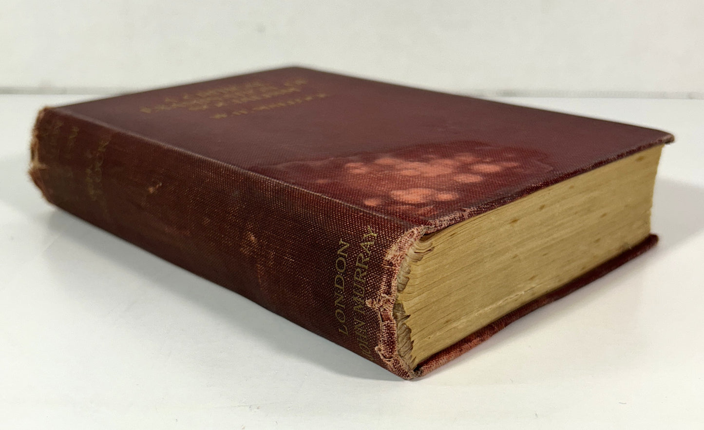 A Critical Examination of Socialism by WH Mallock 1908