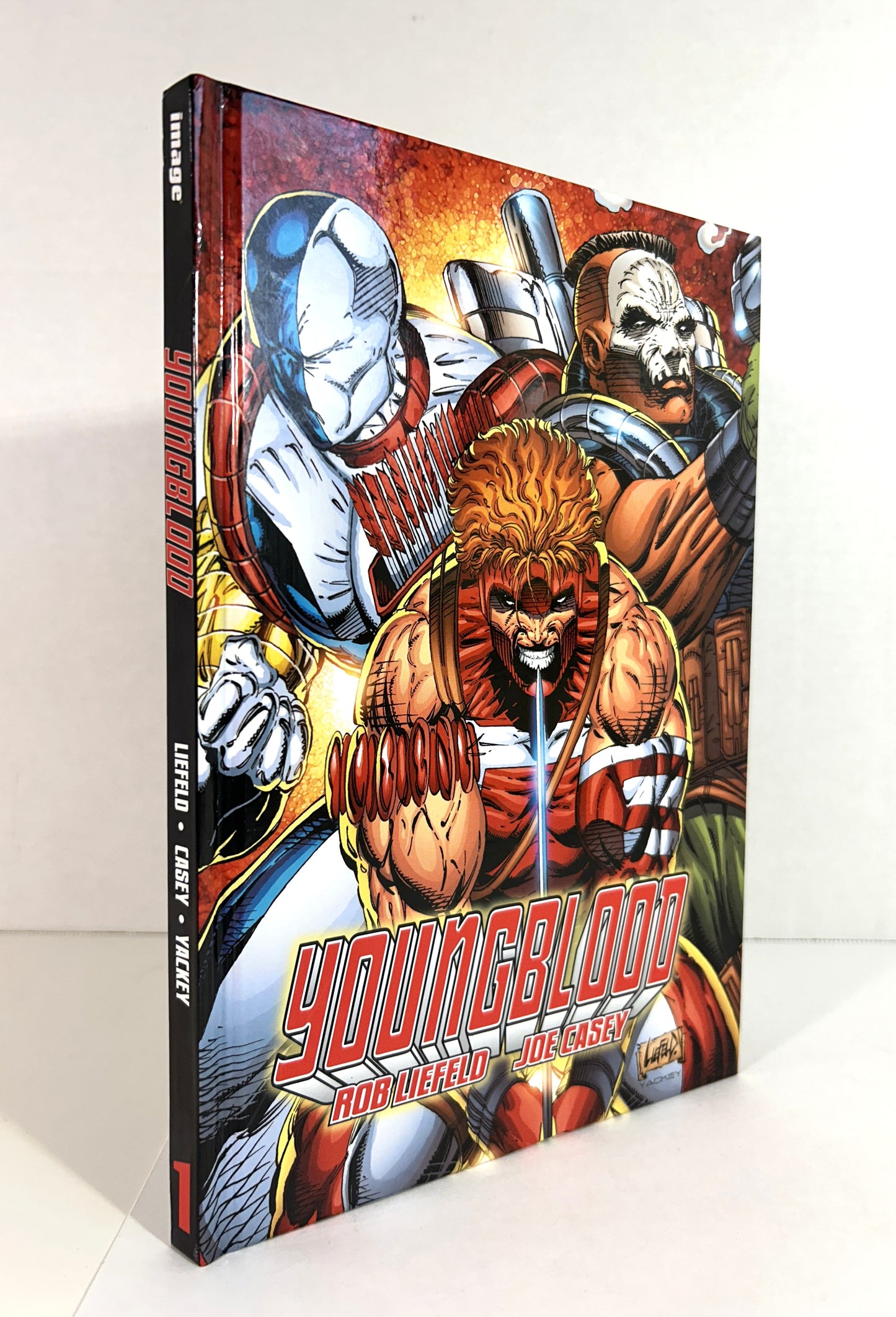 Young Blood Vol 1 by Rob Liefield & Joe Casey 2008 SIGNED