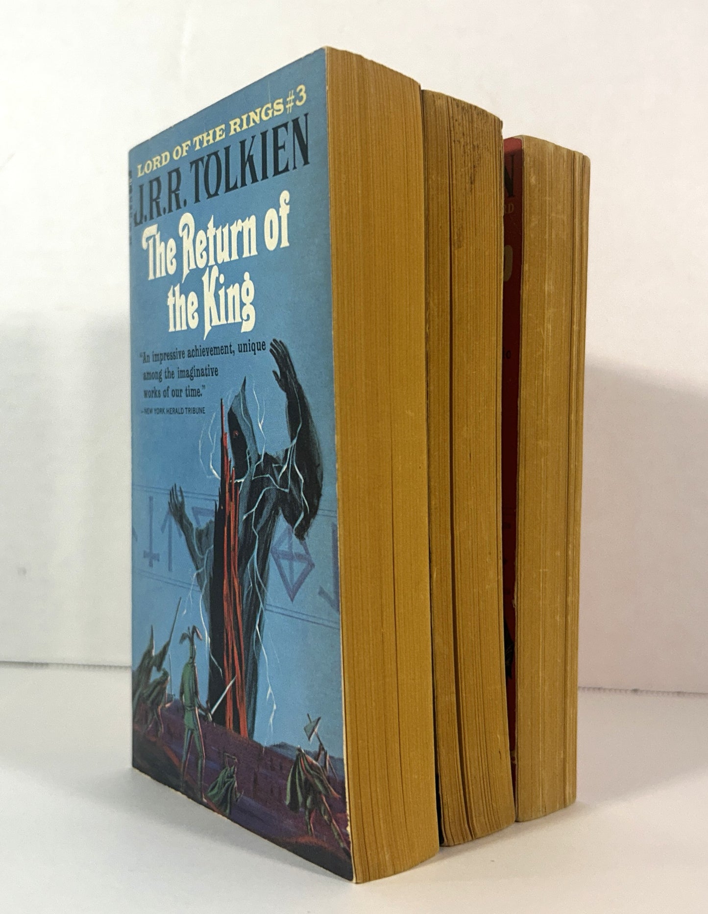 The Lord of the Rings by JRR Tolkien ACE Unauthorized Editions w/ Custom Slipcase