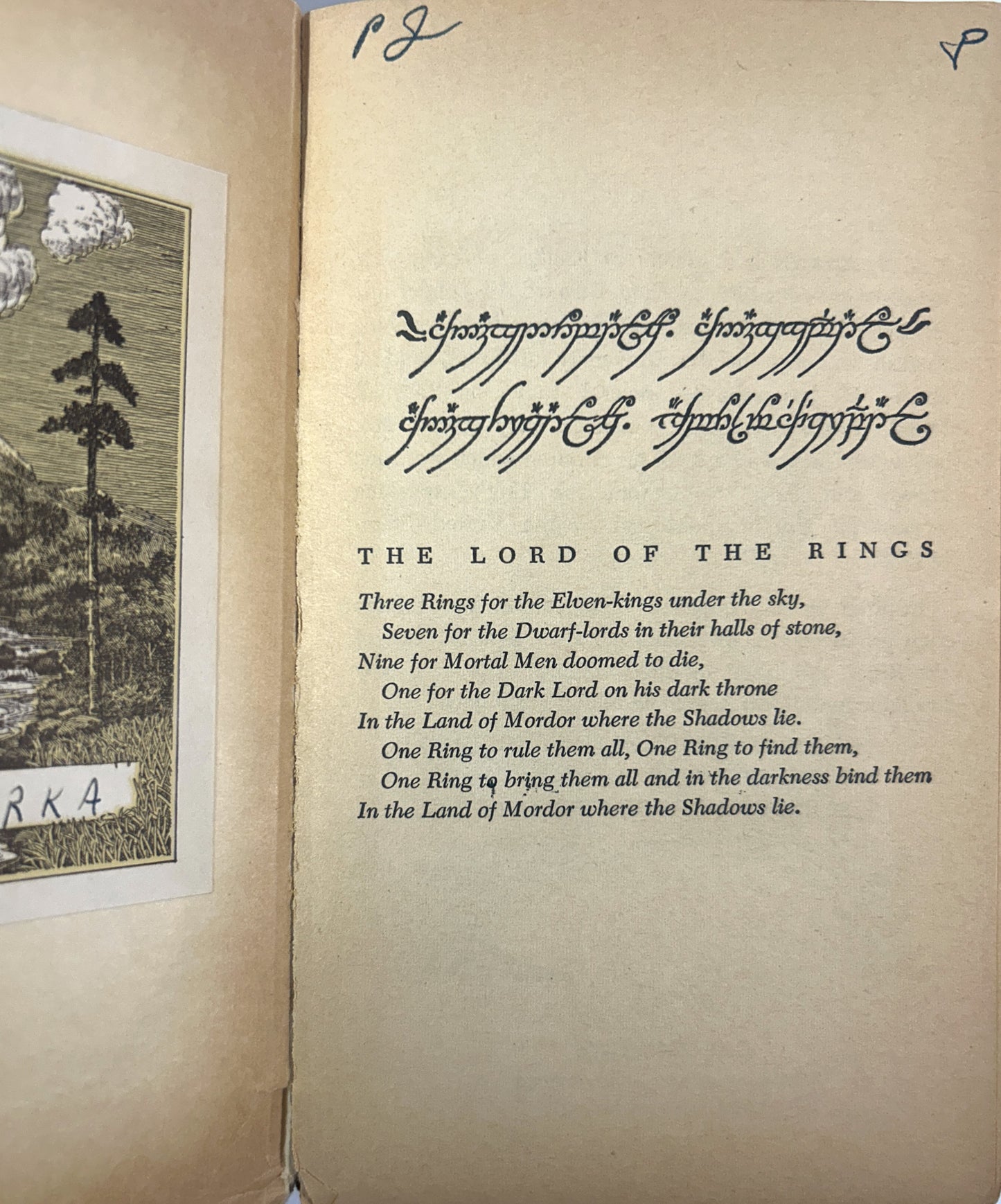 The Lord of the Rings by JRR Tolkien ACE Unauthorized Editions w/ Custom Slipcase
