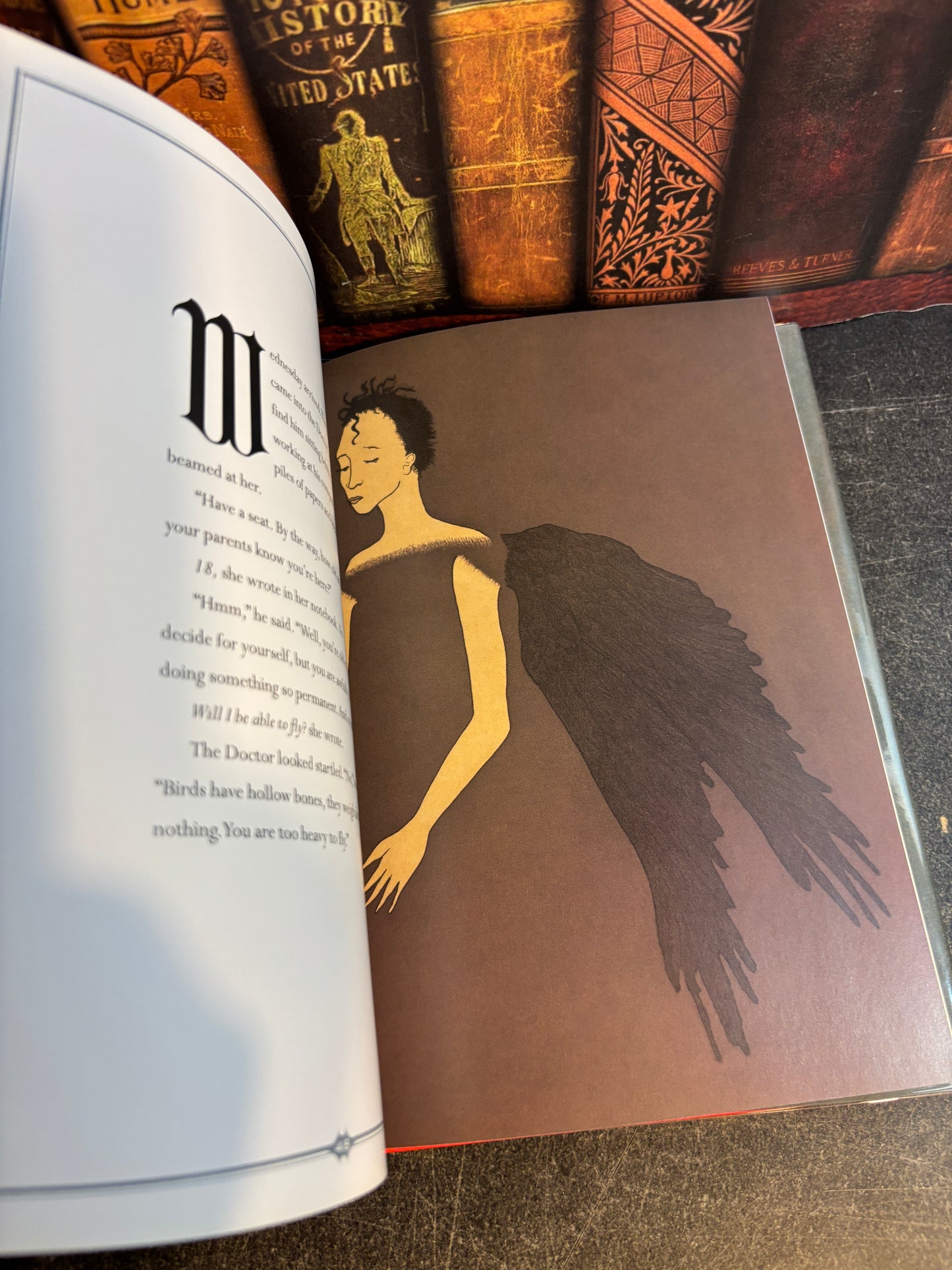 Raven Girl by Audrey Niffenegger SIGNED 1st Edition Illustrated 2013 HB