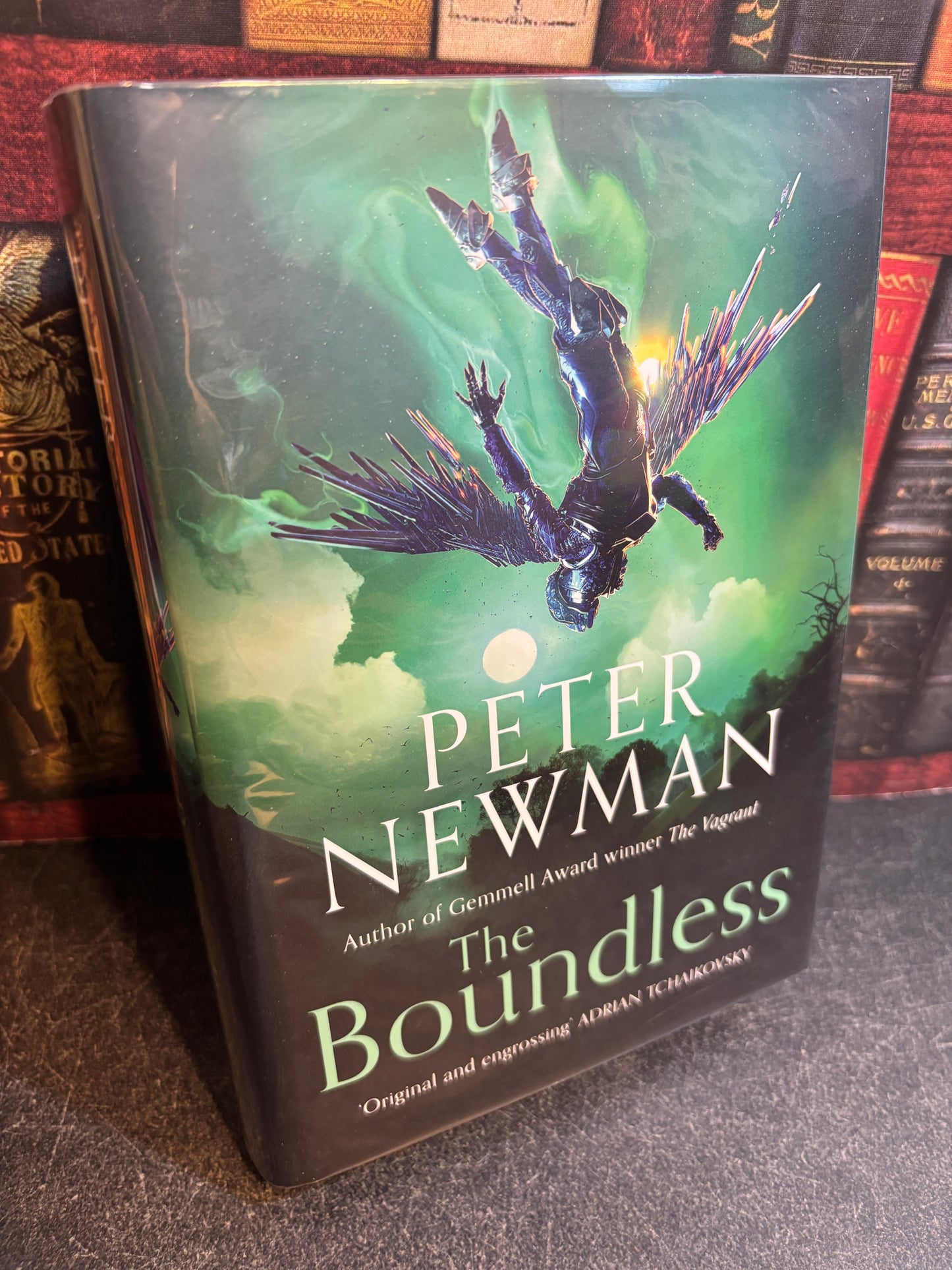 The Boundless by Peter Newman SIGNED Limited Edition #101/150 UK 1st Edition