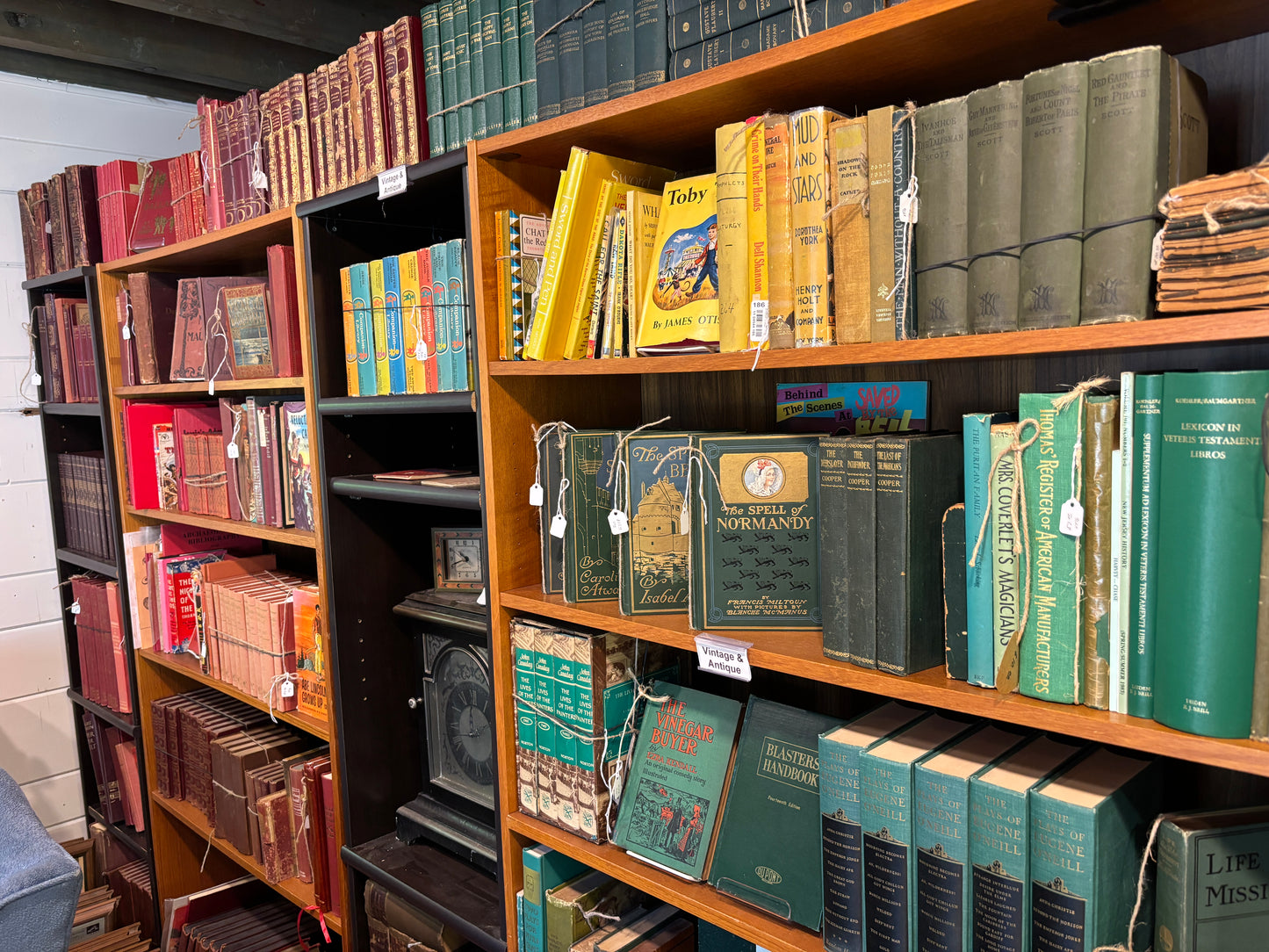 Lot of Vintage & Antique Books MYSTERY BOX