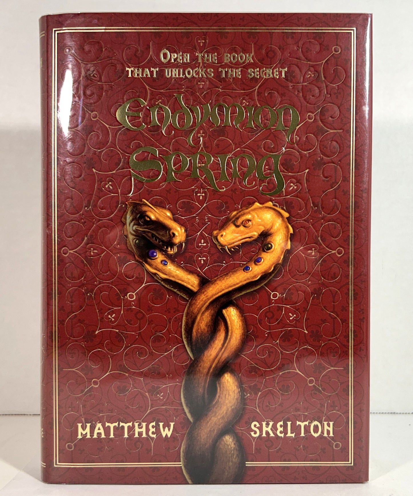 Endymion Spring by Matthew Skelton 2006 SIGNED 1st Edition