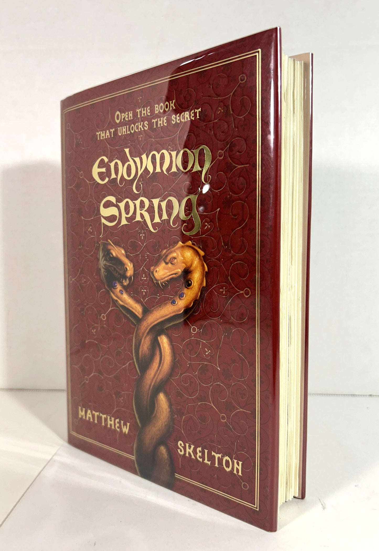 Endymion Spring by Matthew Skelton 2006 SIGNED 1st Edition